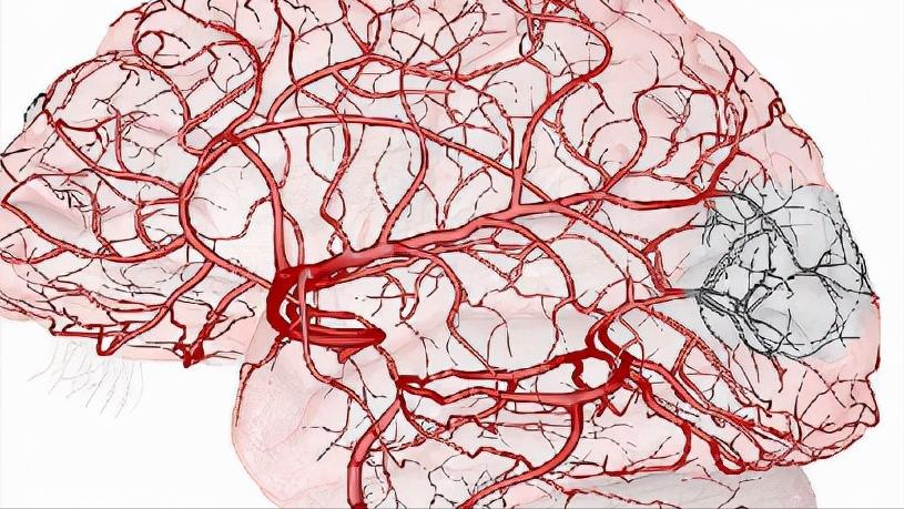 脑梗后遗症脚趾往下勾怎么做康复,脑梗后遗症肌肉萎缩还能康复吗