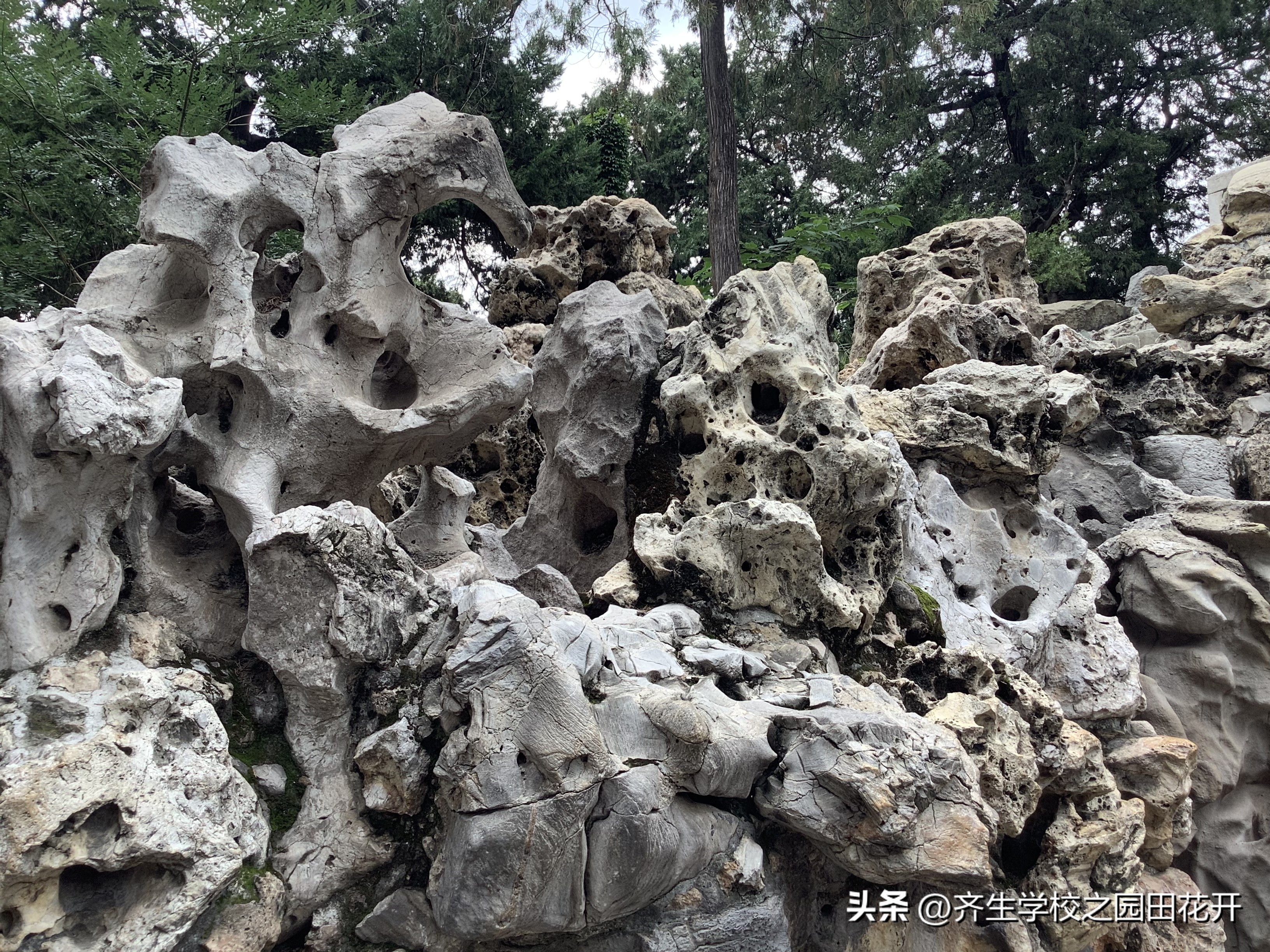 庭院假山别墅花园视频,庭院花园设计实景图凉亭假山鱼池