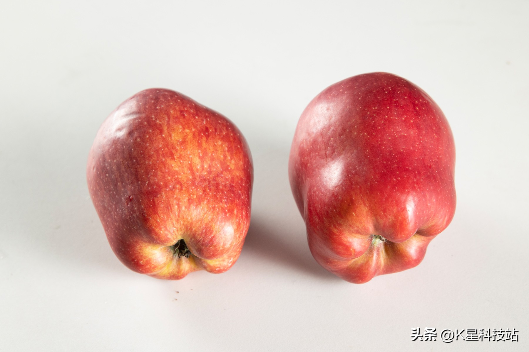 变温空间,变温空间是什么