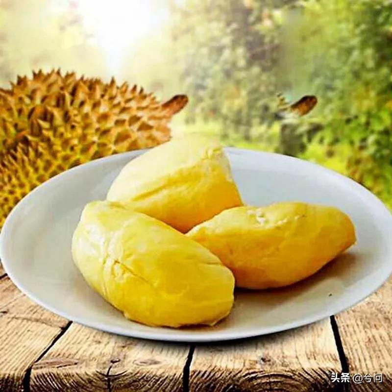 海南的水果特产有哪些？你知道几种？