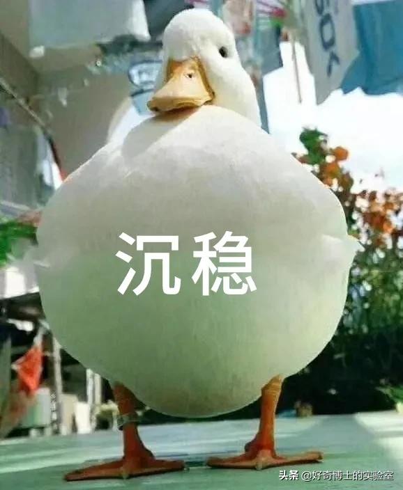 为啥内衣这么贵,女性内衣越贵越好吗