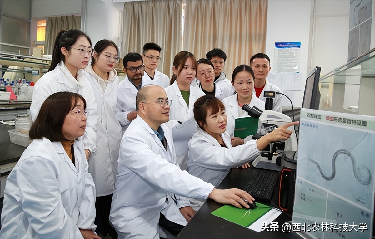 【奋进新征程】（9）秦岭有卫士：杀小虫，保青山