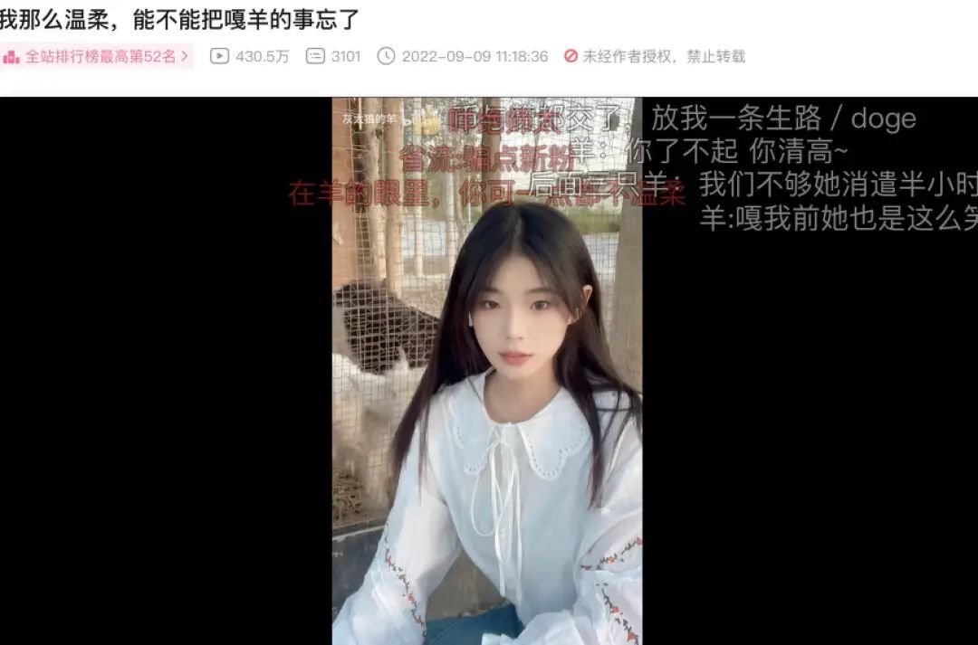 灰太狼和羊的朋友,谁爆料的灰太狼的羊