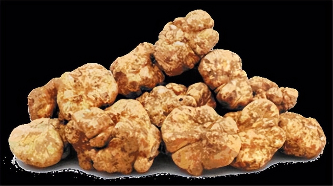 世界十大最贵食物排行,世界上最贵的食物十大排行榜