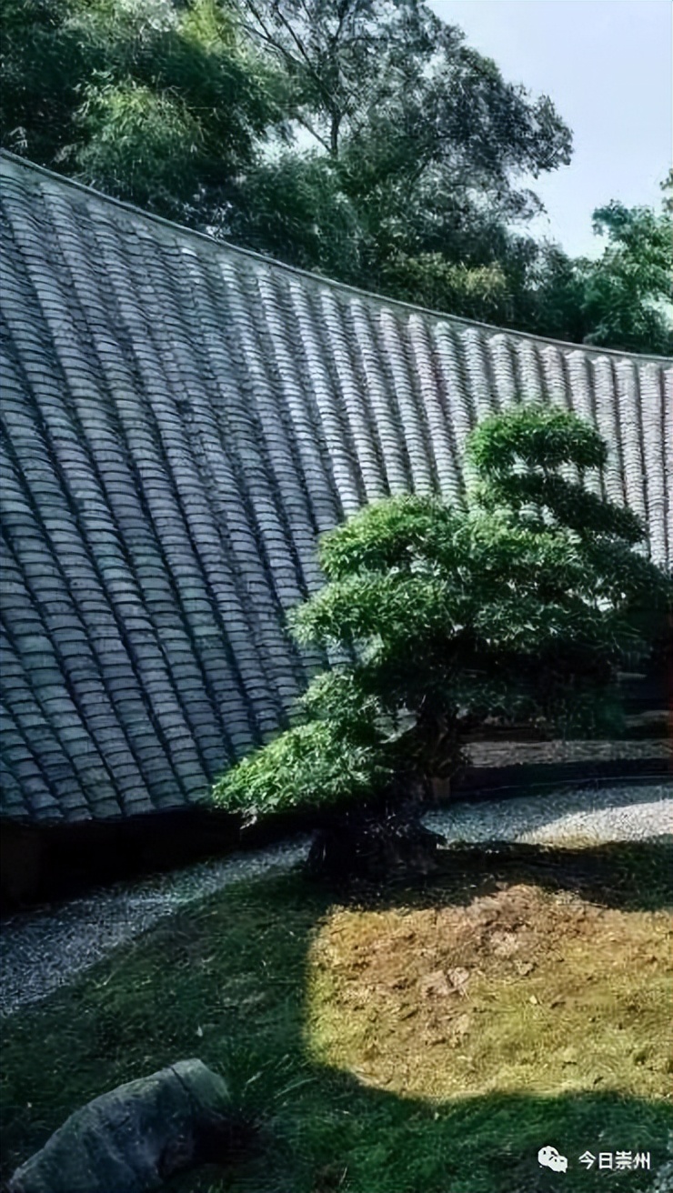 成都市区民宿排行榜前十名,崇州桤木河湿地公园民宿