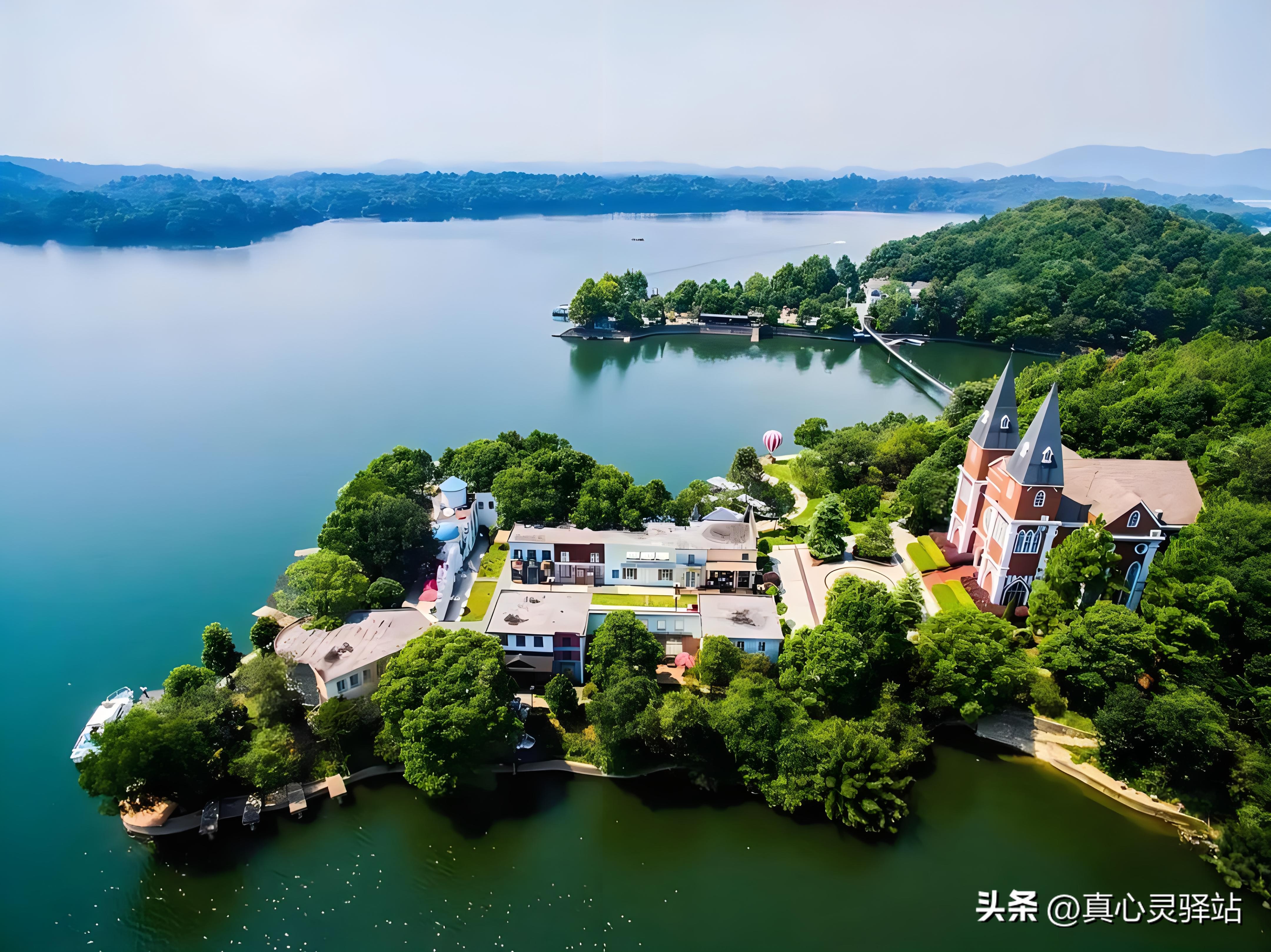 一次49元的免费游，为了20斤蔬菜，差点陷入财务危机，太惊险了