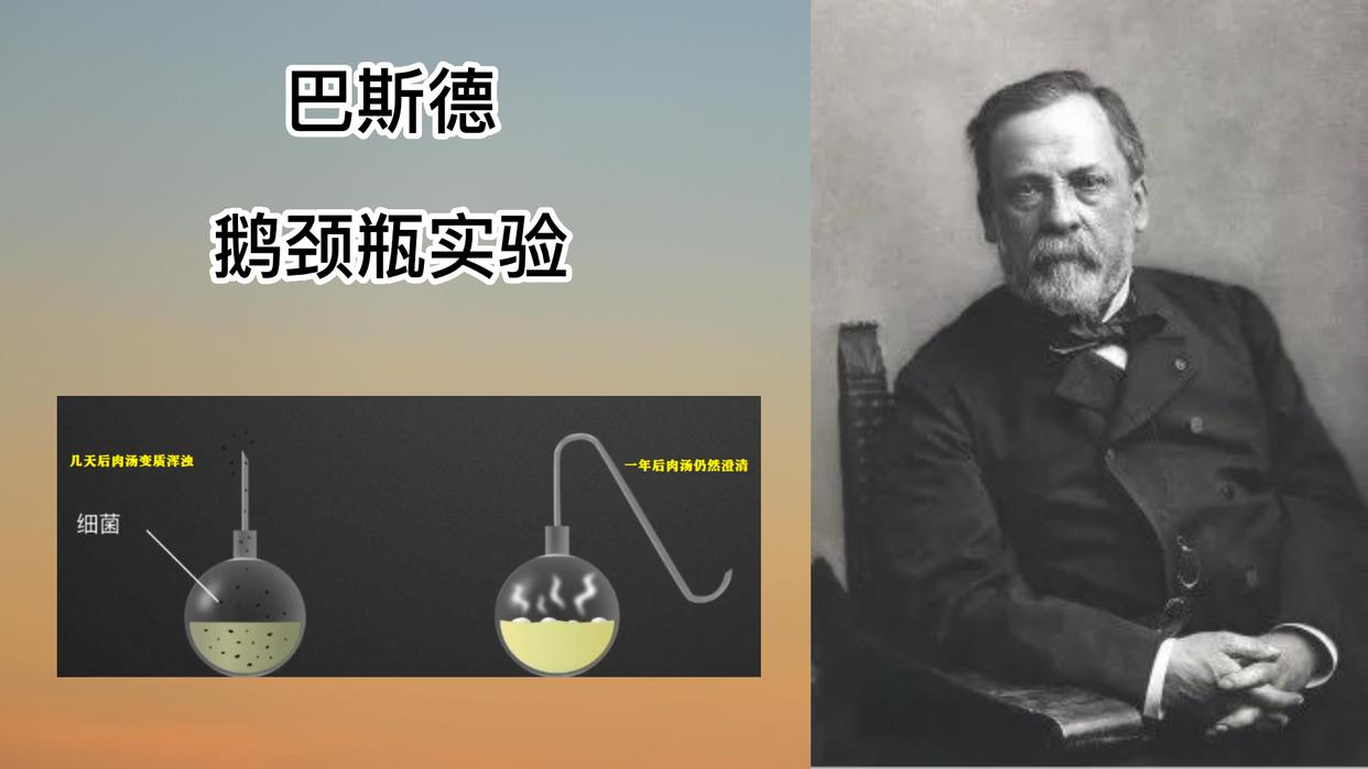 人体细菌数量是细胞数的多少倍,人体内的细胞和细菌数量哪个多