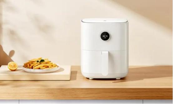 空气炸锅哪个牌子好经济又实用,空气炸锅哪个牌子好又经济实惠