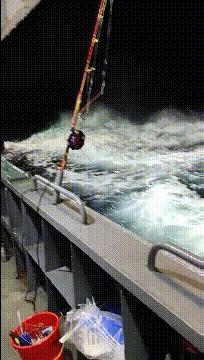 妹子穿皮裤,女生的皮裤