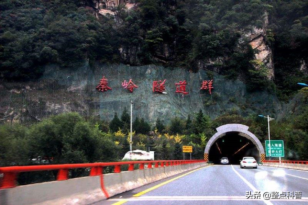 秦岭隧道挖出两条巨蟒是真的吗,世界上最大的蛇是不是在秦岭