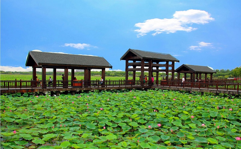 天津周边冷门海边,五一短途冷门自驾游天津