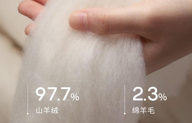 你会买双面羊绒大衣吗,你会买只能干洗的衣服吗