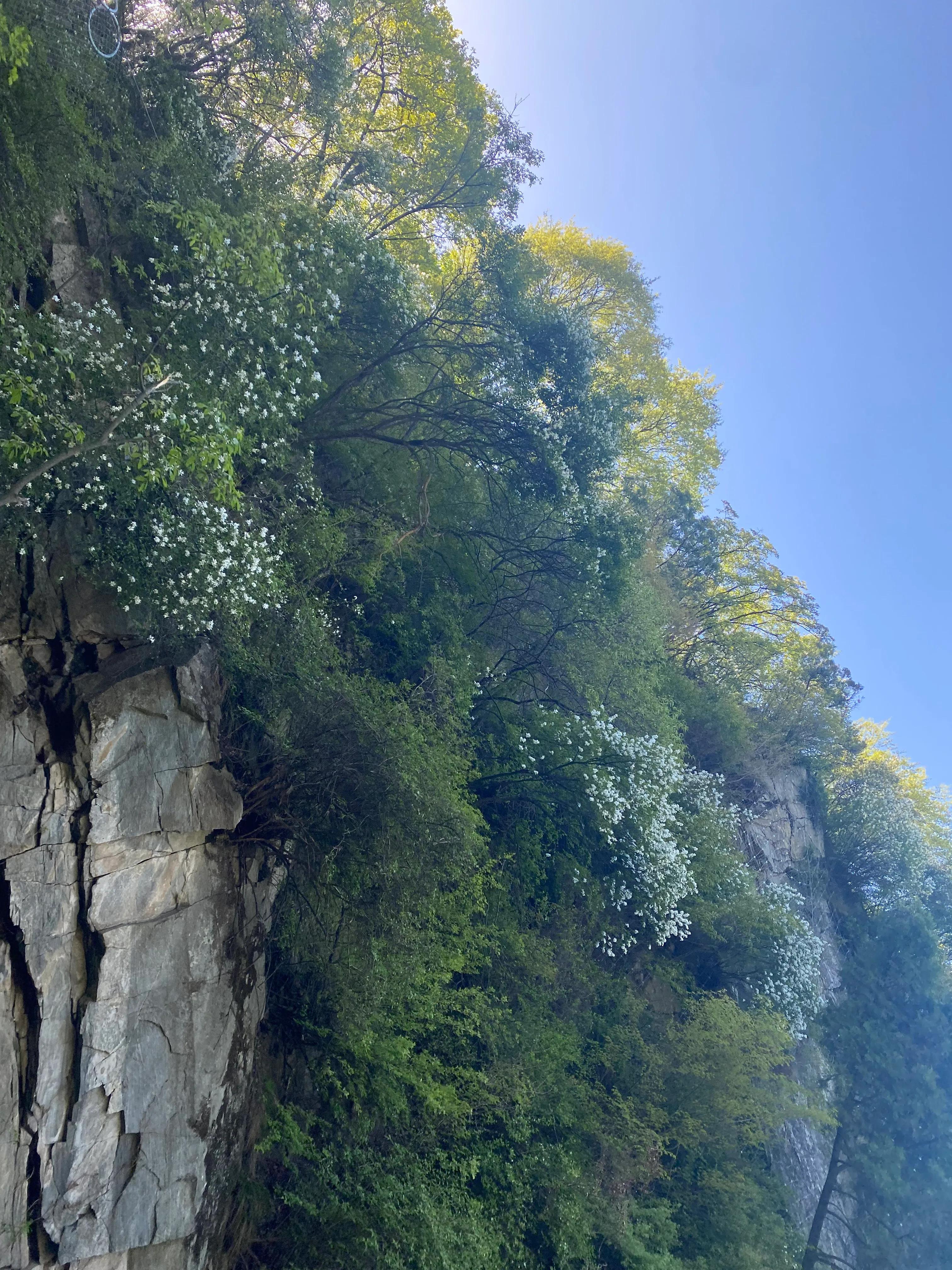 少华山一日游自由行多少钱,华山一日游全程