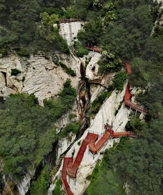 享受阳光享受大自然天然氧吧,值得一去的天然森林氧吧