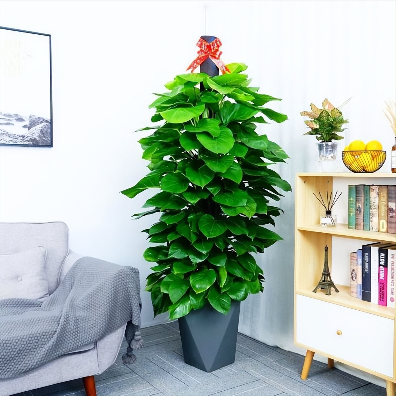 怎样去除甲醛最快方法有哪些,怎样快速去除新房子的甲醛小妙招