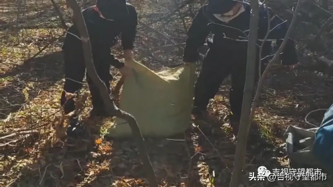 偷林场的松塔犯法吗,捡松塔违法吗