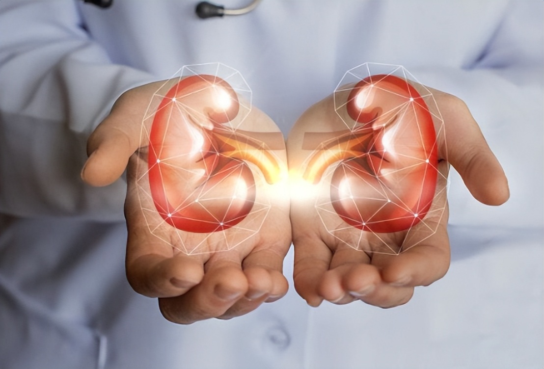 尿路有感染吃什么偏方,尿路感染的抗生素药有哪些