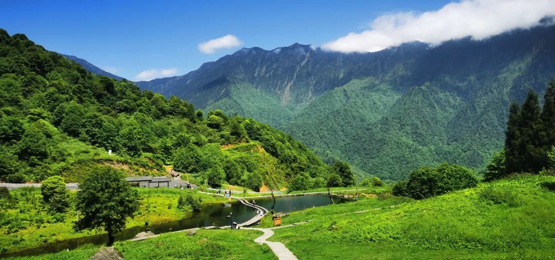 黑竹沟火把节现场视频,黑竹沟晚会