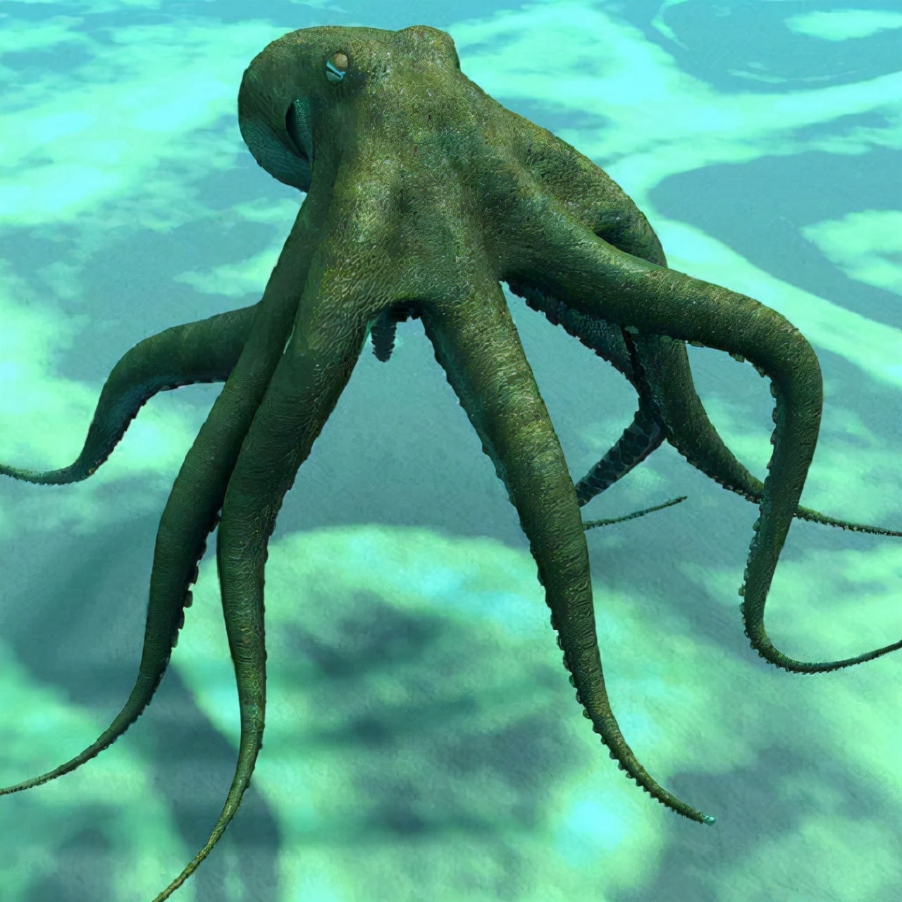 世界上最聪明的人类大脑,人类历史上最聪明的动物