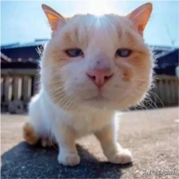 陪你看海的人比海更温柔,陪你看海的人比海温柔出处