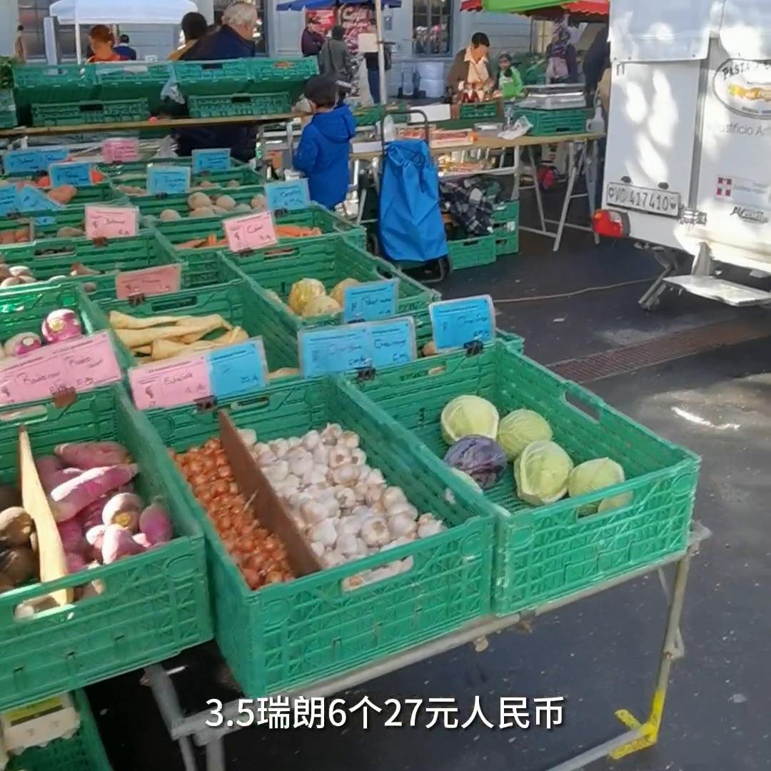 瑞士必知的物价,瑞士苏黎世每天生活费多少钱