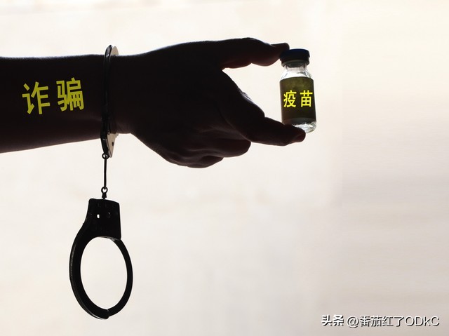 女模特在国外被骗,女模特被骗视频