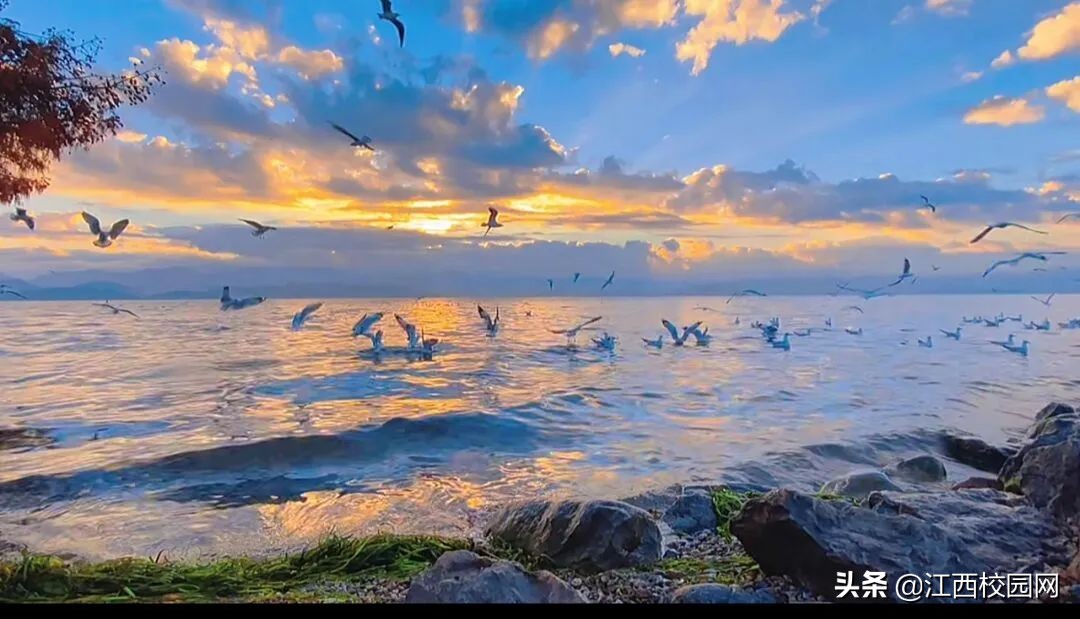 面朝大海春暖花开,面朝大海春暖花开配乐纯音乐mp3