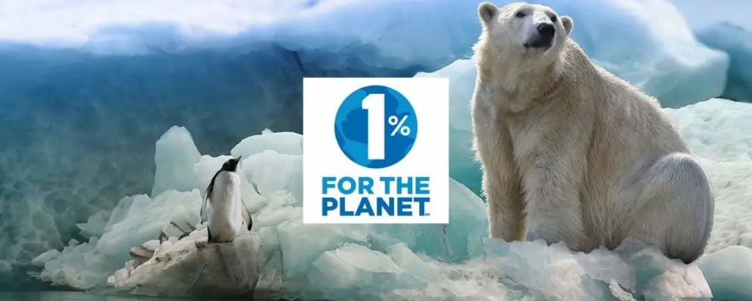 品牌标签：数字时代的品牌法则