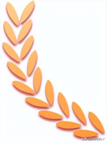 2022年黄陂中考普高升学率,黄陂区实验中学2023年中考喜报