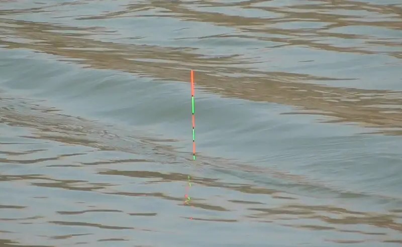 钓鱼浮漂浮起来不下去是什么情况,钓鱼浮漂下沉后该怎么办