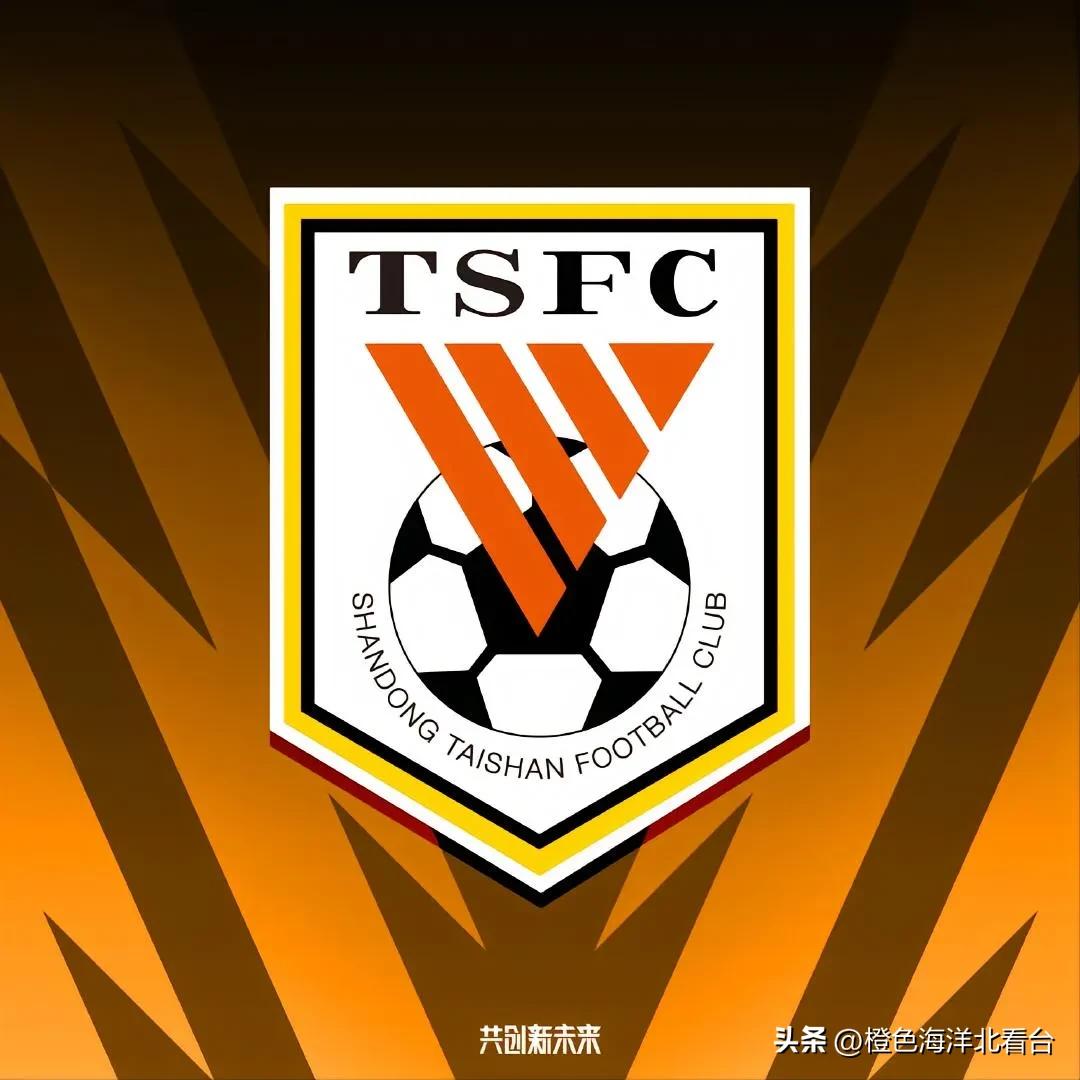 泰山队职业联赛以来降过级吗,泰山联赛冠军一览表