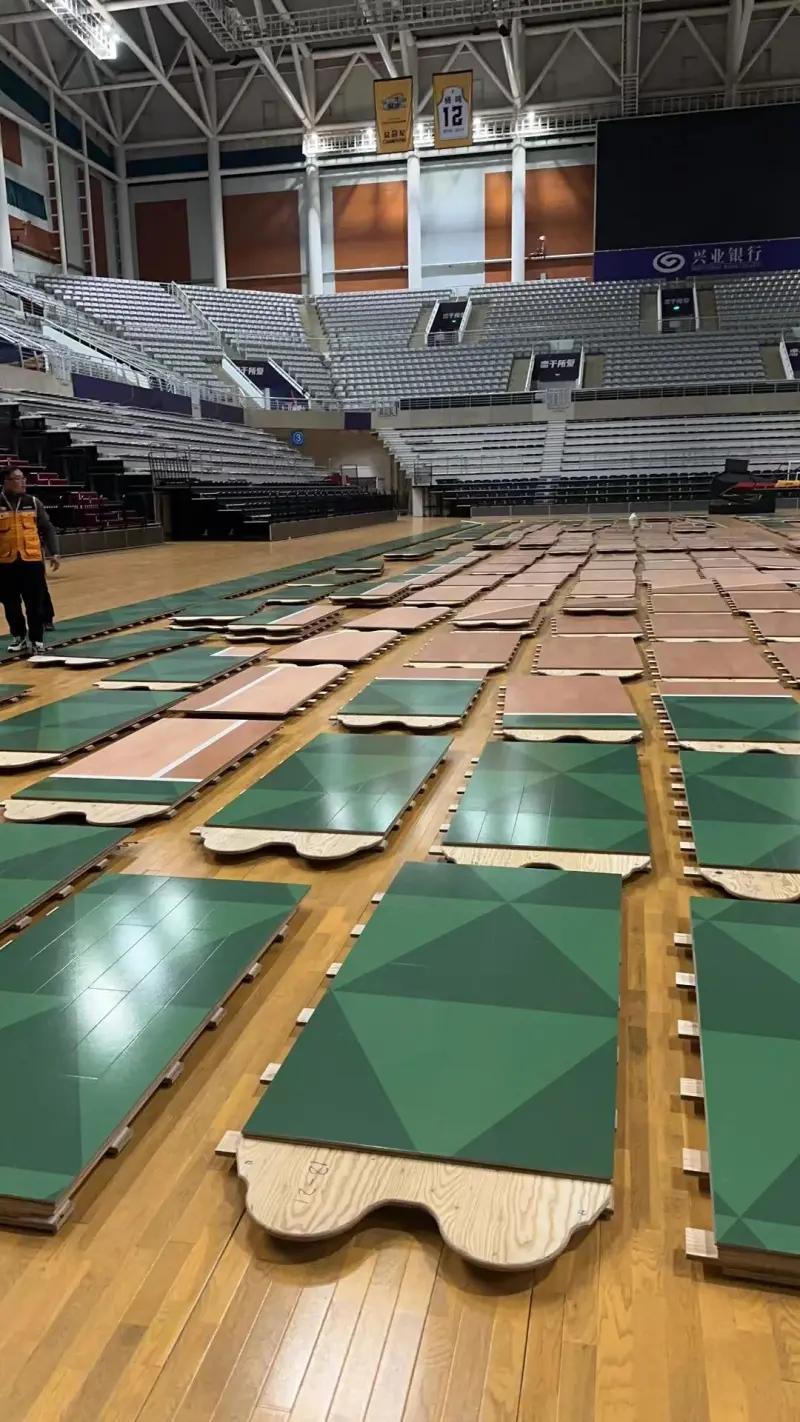 辽宁队海报豹子,辽宁队豹子