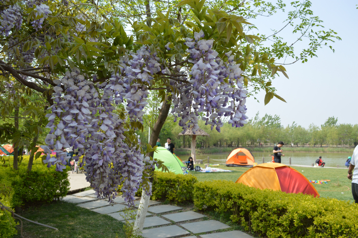 天津周边可生火的露营地,私藏天津小众露营地