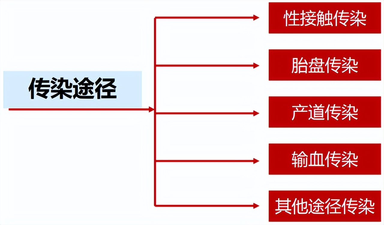 梅毒的病因和起源,梅毒的起源病因及症状表现
