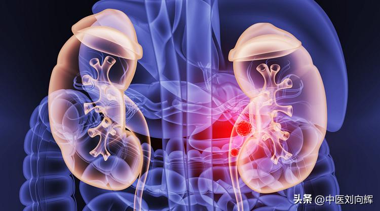 肾阴虚什么药补肾效果强,肾阴虚补肾的最佳方法食补