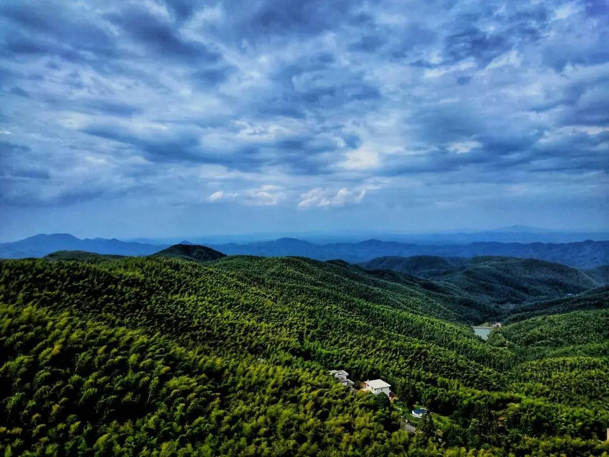 中国十大竹海排名,中国十大竹海之都