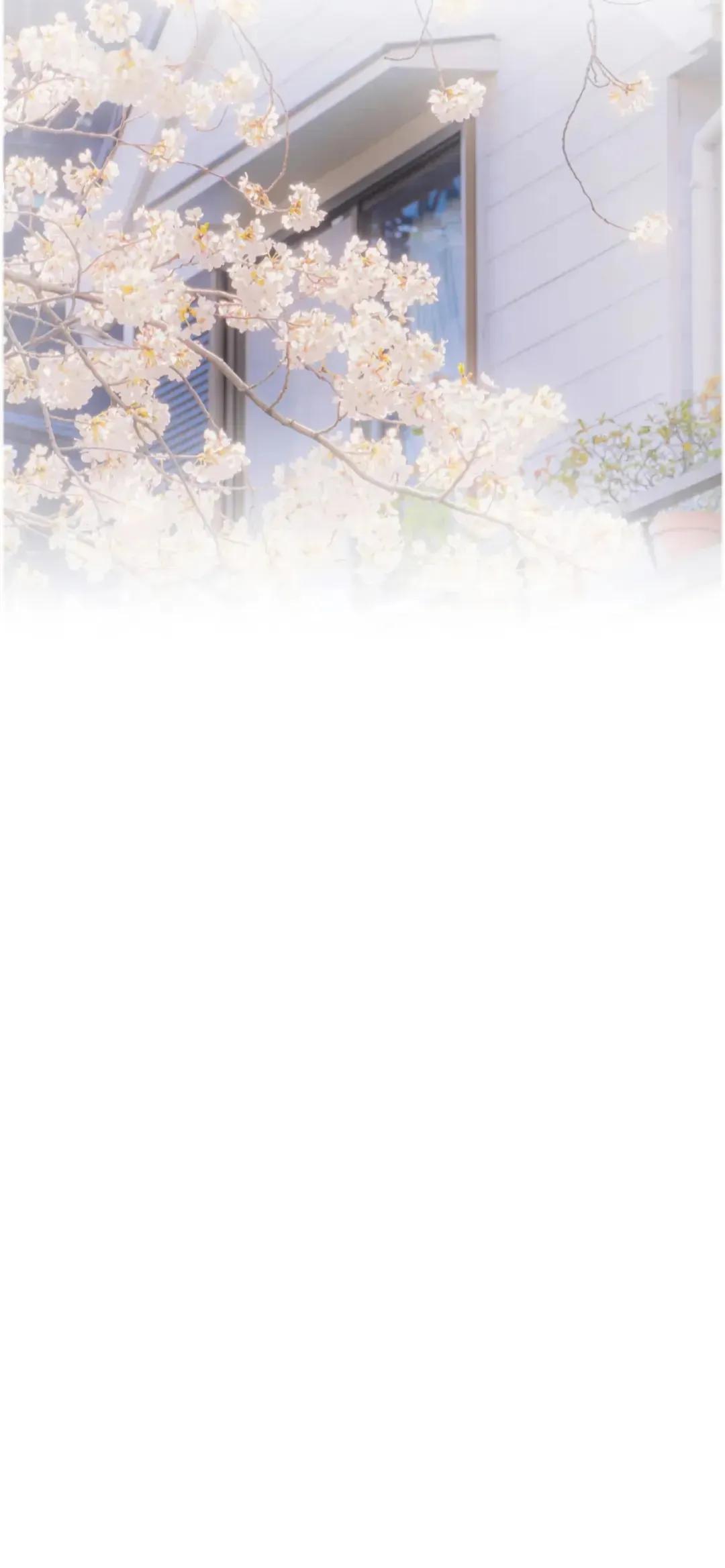 渐变晕染聊天背景图,渐变式聊天背景图