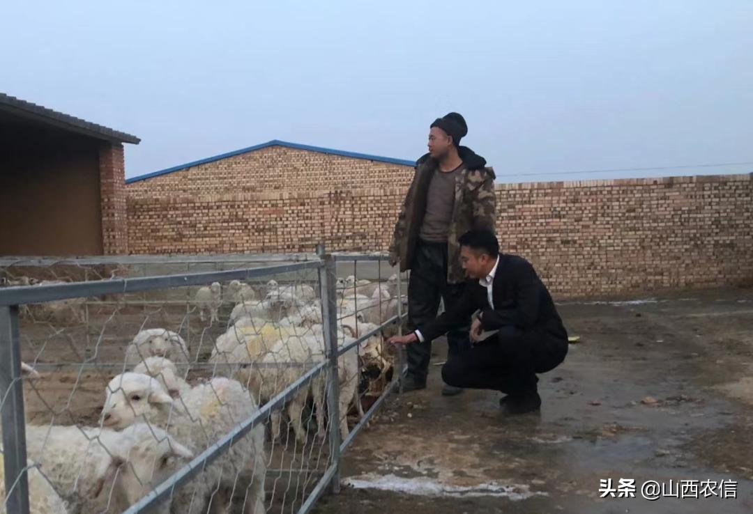 “阳光办贷”激发市场活力——最好的文案就是“大众点评”