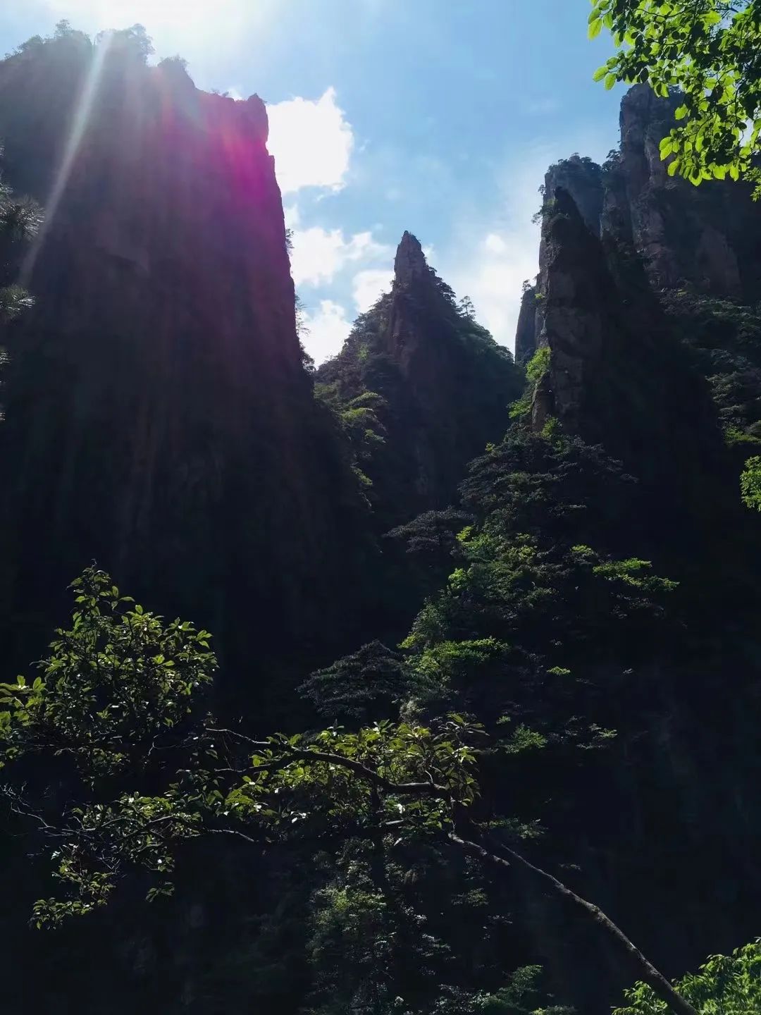 雅思口语描述你喜欢读的一本书,雅思口语旅游素材