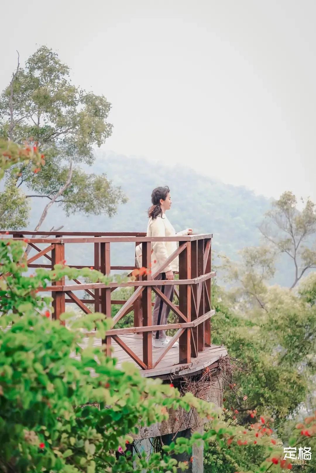 深圳最值得爬的景点,深圳十大最值得爬的山