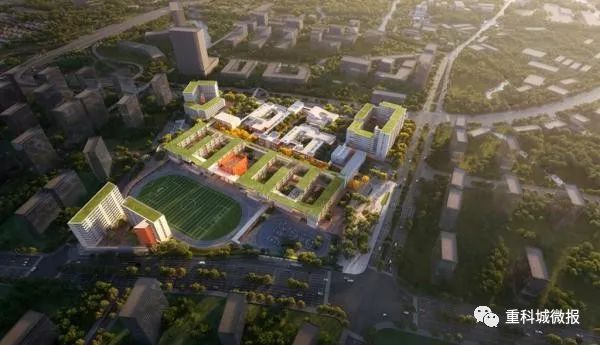 又增长！高考特控上线率高达85.13%！科学城做对了什么？