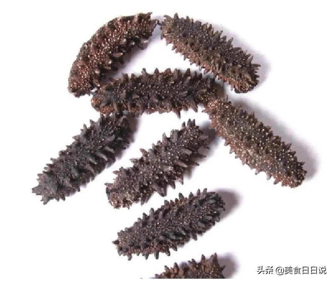 教你学正宗的海参做法,教学做菜海参