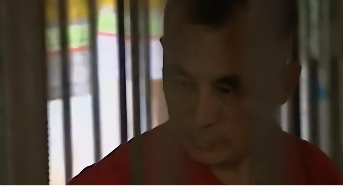 母猪生豹纹猪仔,母猪生下豹纹怪猪