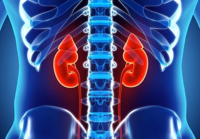 肥胖可以吃中药治疗嘛,有治疗肥胖的中药吗