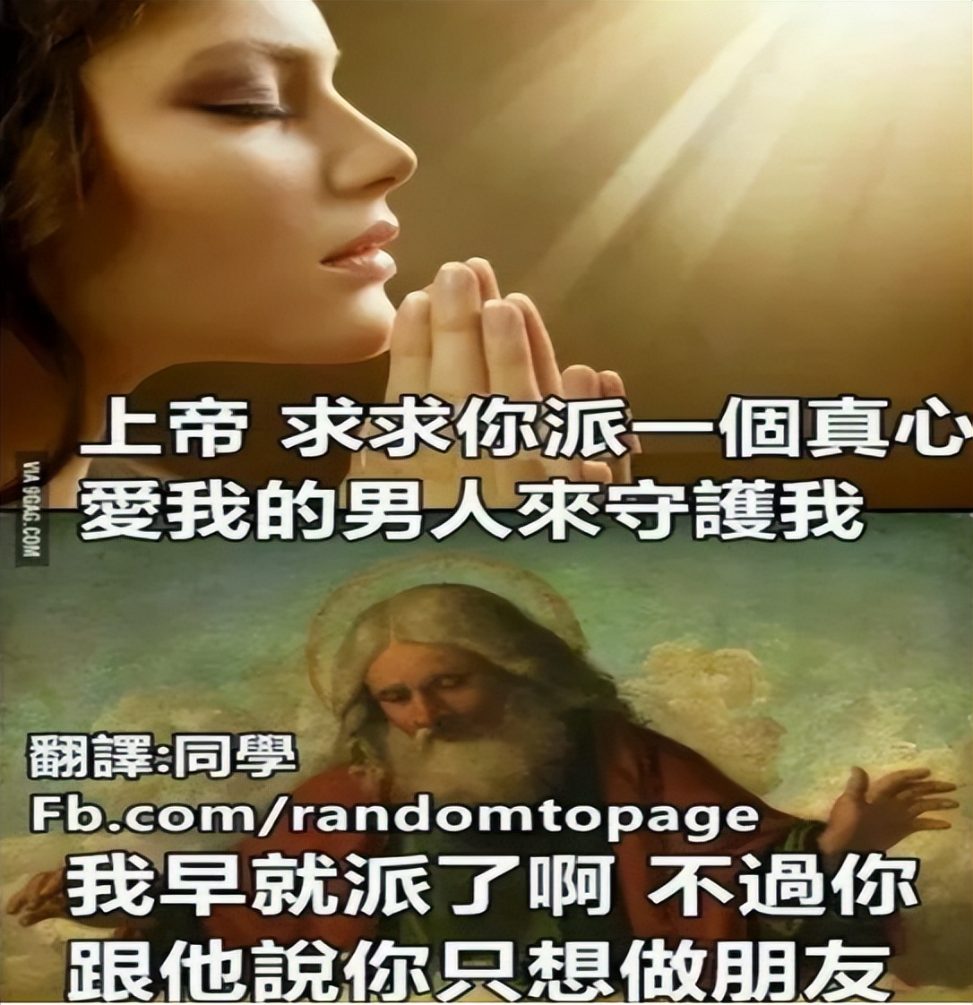 神回复：真假美猴王？哪个才是真的蜜雪冰城？神评亮了啊