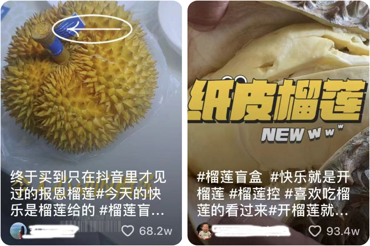 哪种榴莲最值得买,榴莲高端榴莲