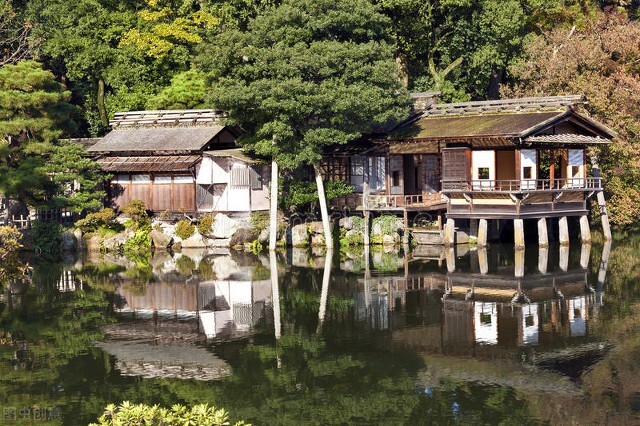 如何开一家茶馆,开一家茶馆的创业规划
