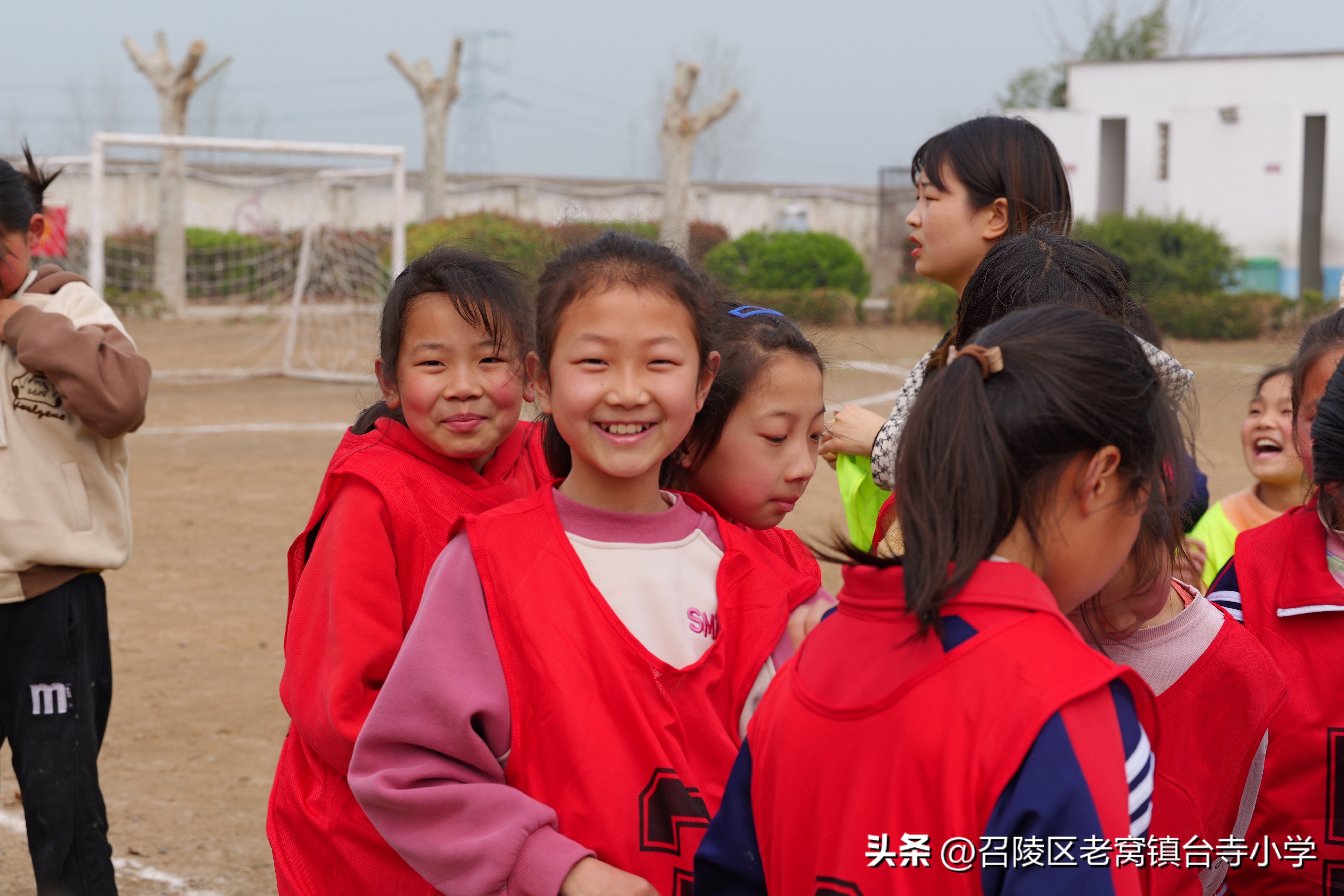召陵区台寺小学,漯河市老窝镇台寺小学