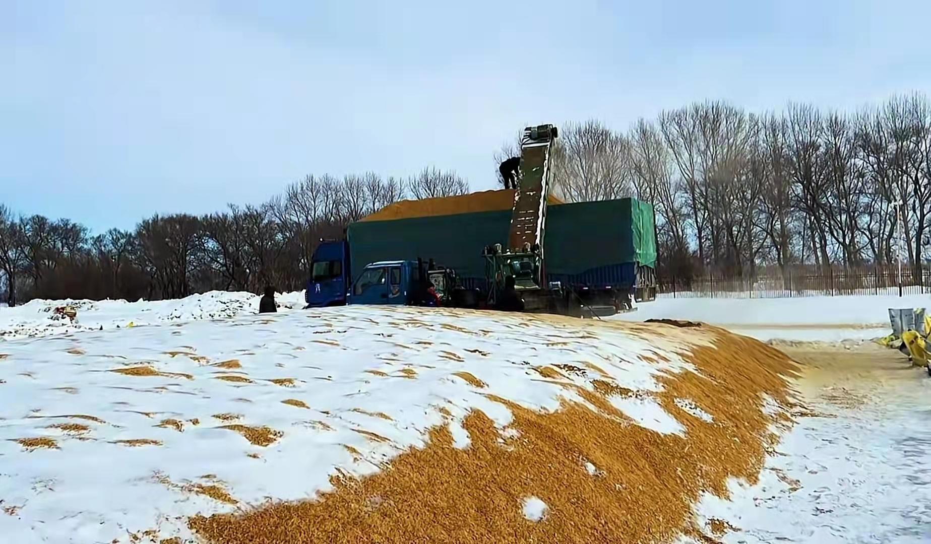 一三年后粮价预测,最近几年最高粮价