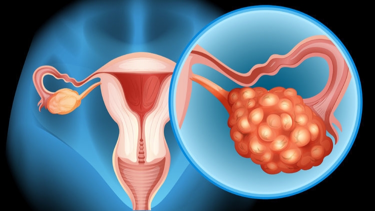 绝经越迟,越容易长寿?女性什么时候绝经比较好?告诉你答案